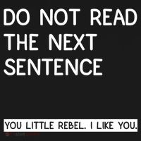Do Not Read The Next Sentence You Little Rebbel Funny Sayings Sweatshirt thumb 3