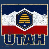 Distressed New Utah Flag Toddler Hoodie thumb 2