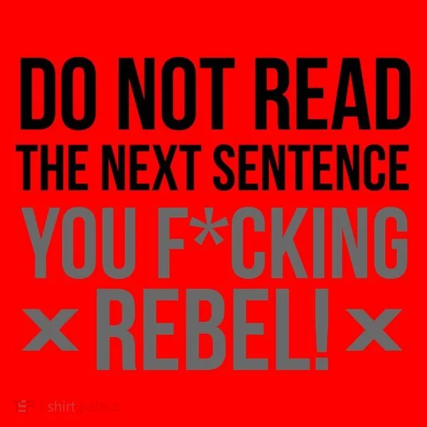 Do Not Read Funny Rebel Santa Hat