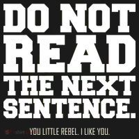 Do Not Read The Next Sentence. You Little Rebel. I Like You. Ornament thumb 1