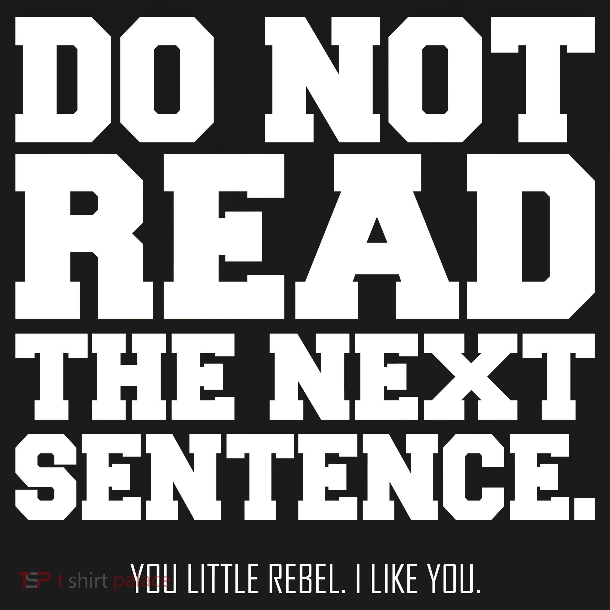 Do Not Read The Next Sentence. You Little Rebel. I Like You. Ornament