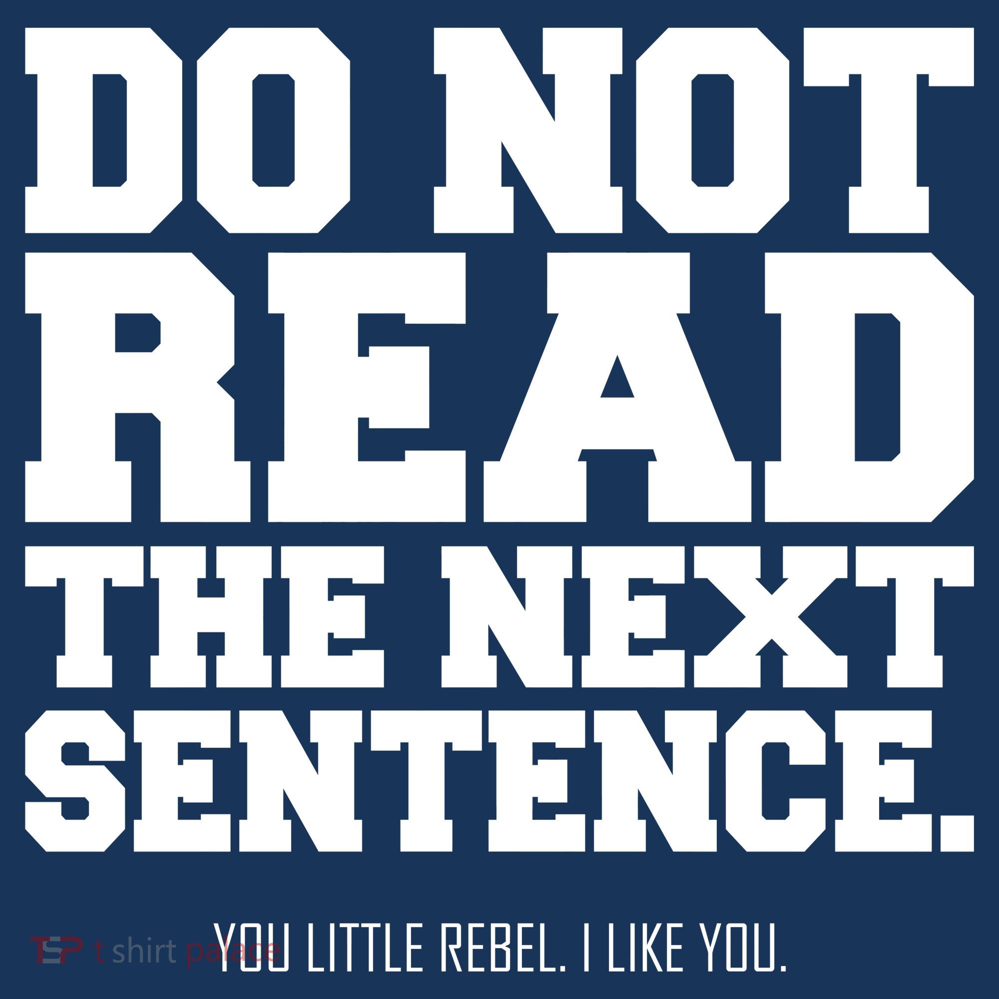 Do Not Read The Next Sentence. You Little Rebel. I Like You. Toddler Hoodie
