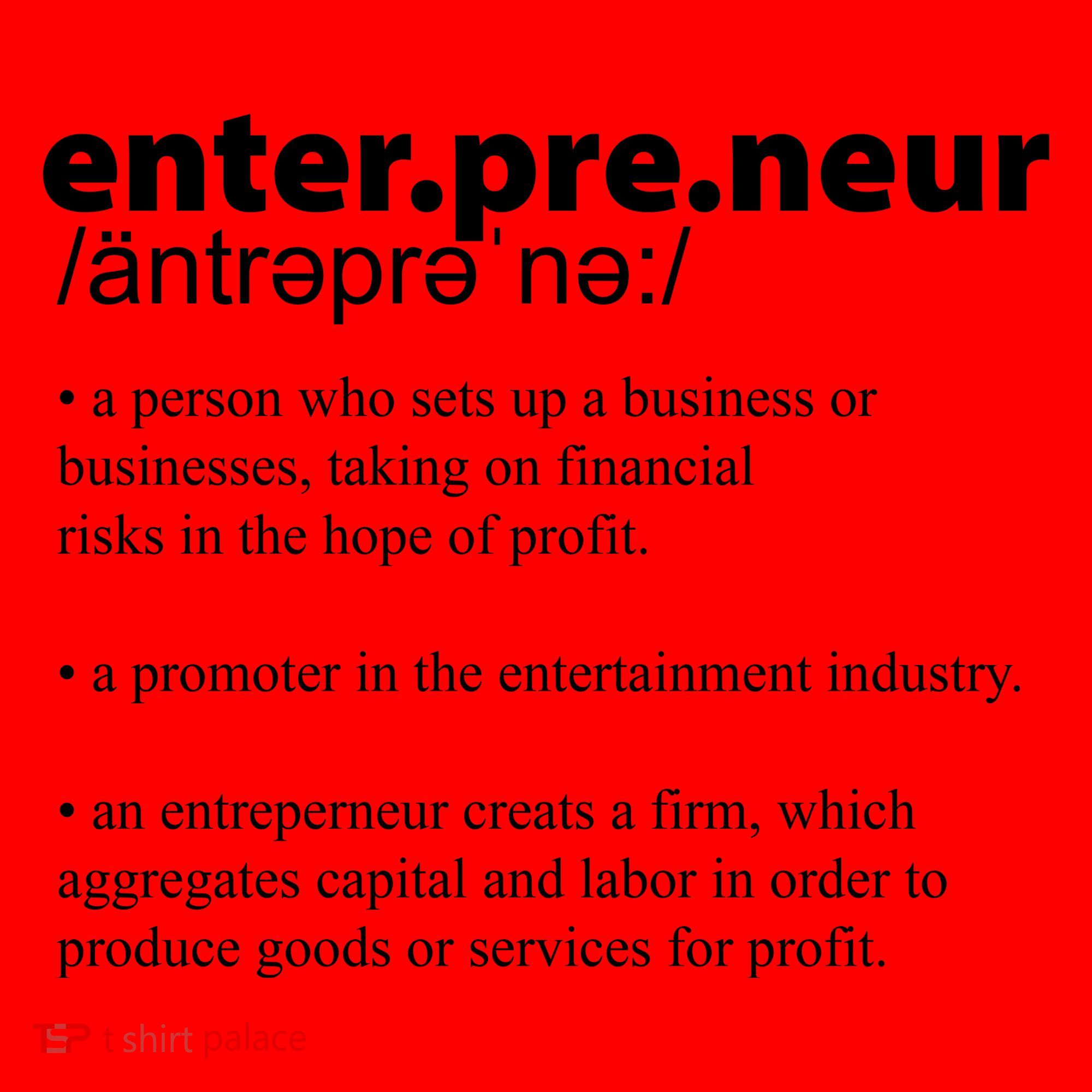 Definition Of An Entrepreneur Santa Hat