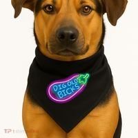 Dig Old Bicks Solar Opposites Funny Meme Gag Cute Gift USA-Made Doggie Bandana thumb 1