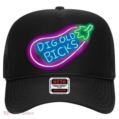 Dig Old Bicks Solar Opposites Funny Meme Gag Cute Gift Hat