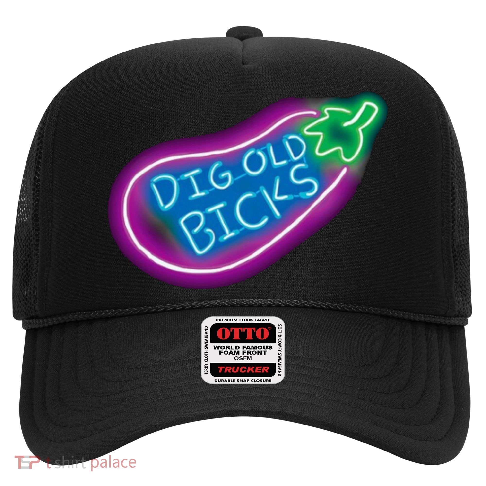 Dig Old Bicks Solar Opposites Funny Meme Gag Cute Gift Hat