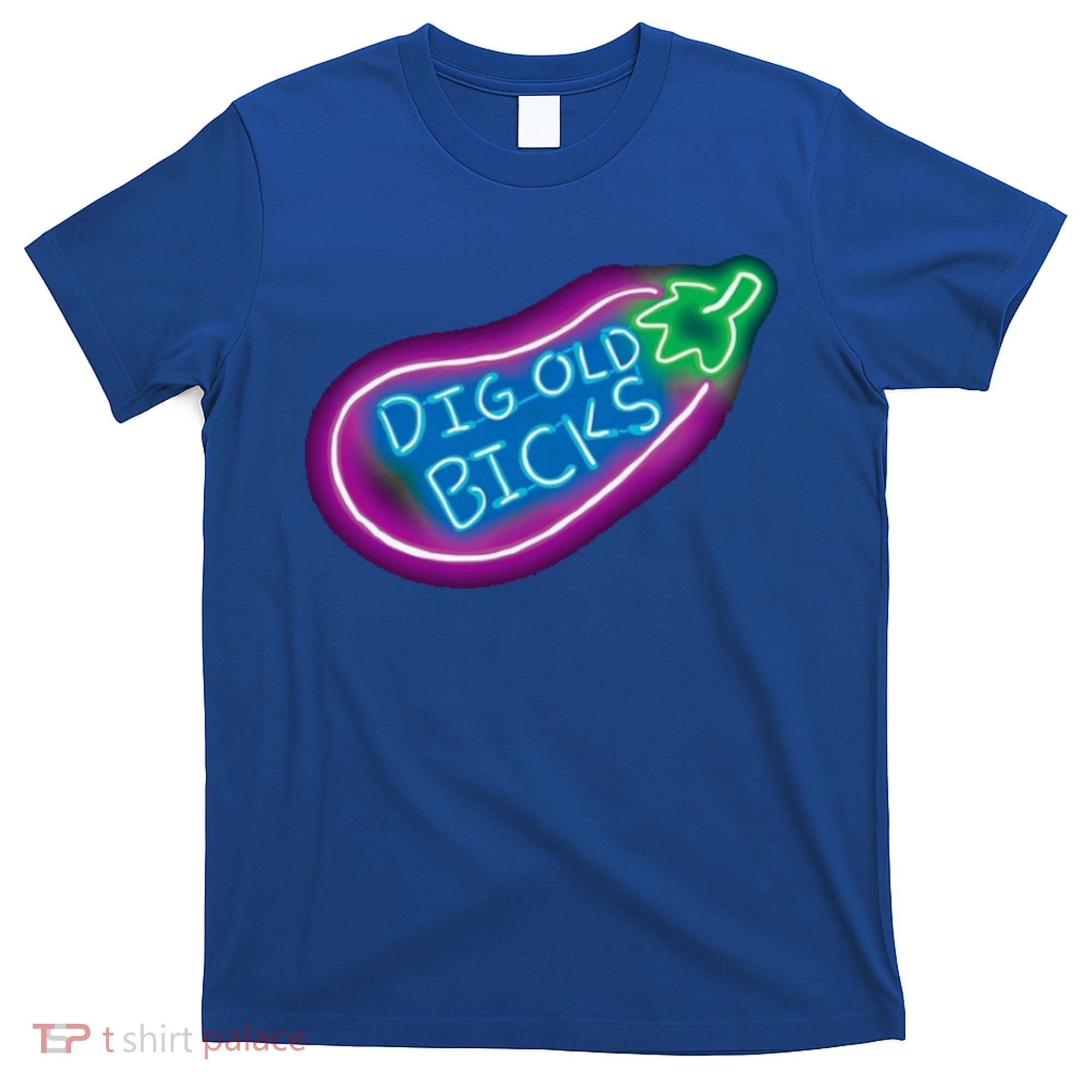 Dig Old Bicks Solar Opposites Funny Meme Gag Cute Gift T-Shirt