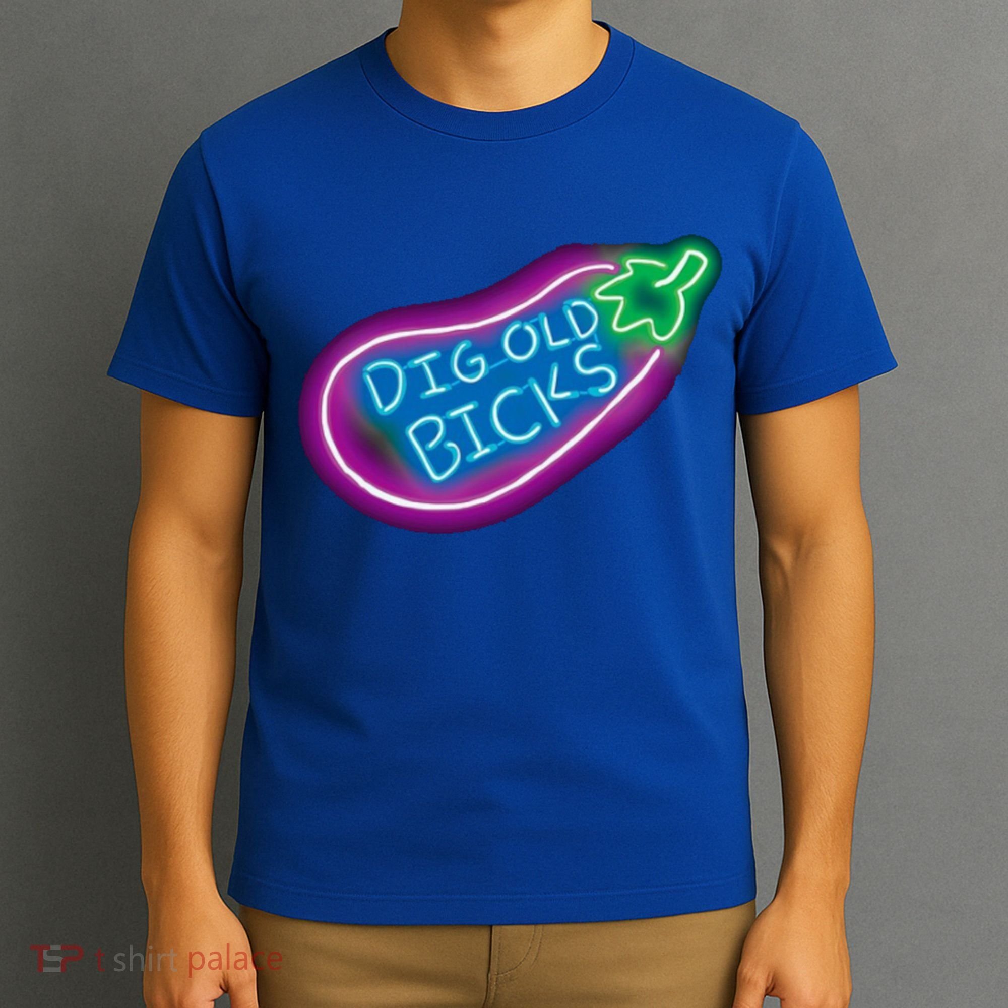 Dig Old Bicks Solar Opposites Funny Meme Gag Cute Gift T-Shirt