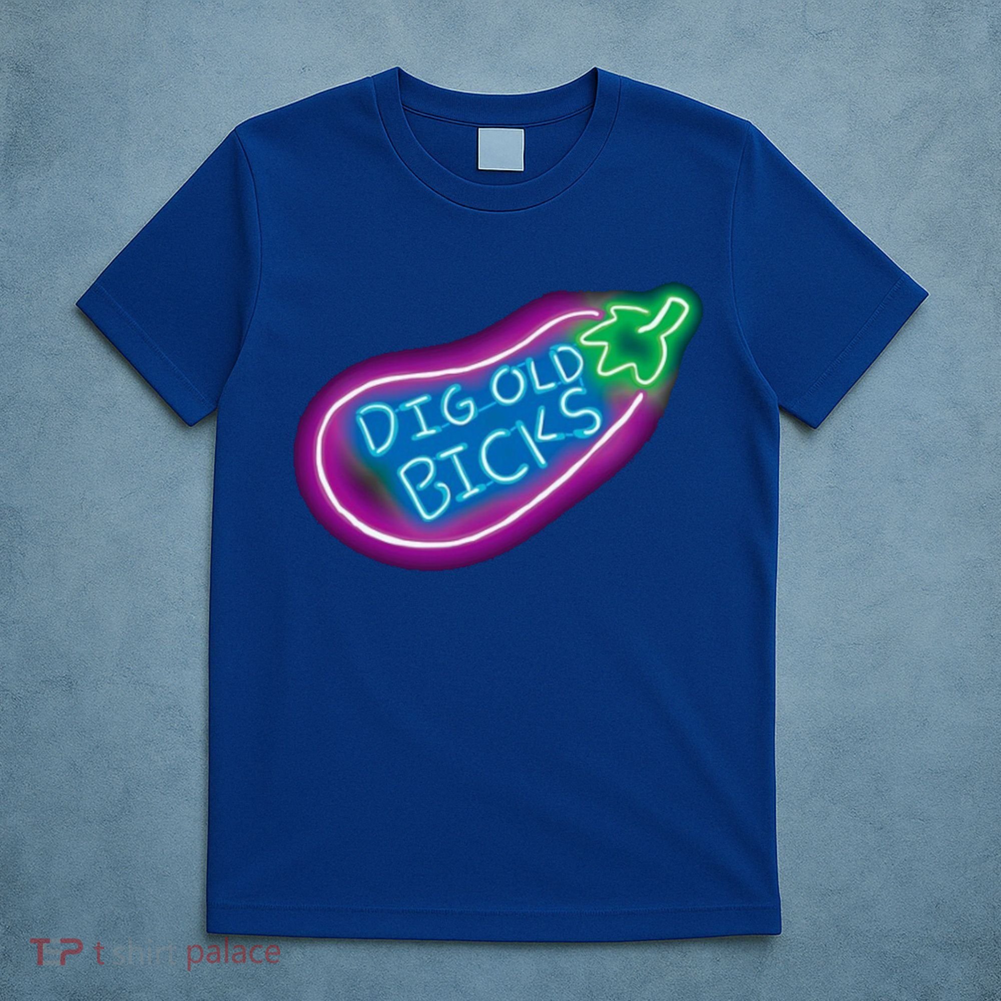 Dig Old Bicks Solar Opposites Funny Meme Gag Cute Gift T-Shirt