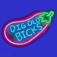 Dig Old Bicks Solar Opposites Funny Meme Gag Cute Gift Tank Top thumb 6