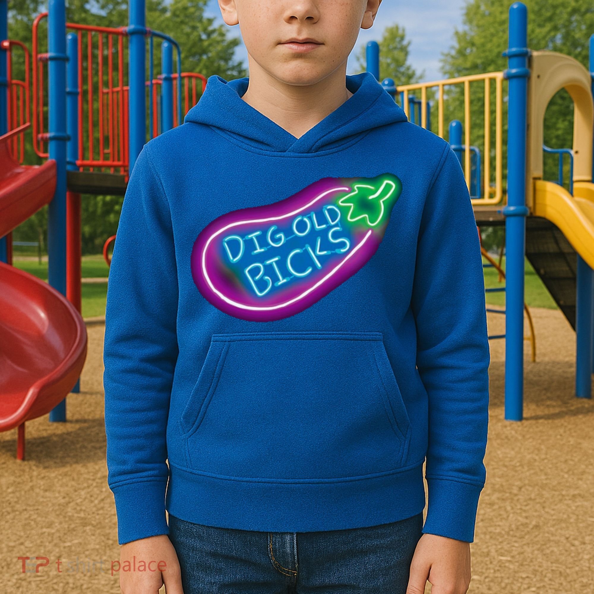 Dig Old Bicks Solar Opposites Funny Meme Gag Cute Gift Kids Hoodie