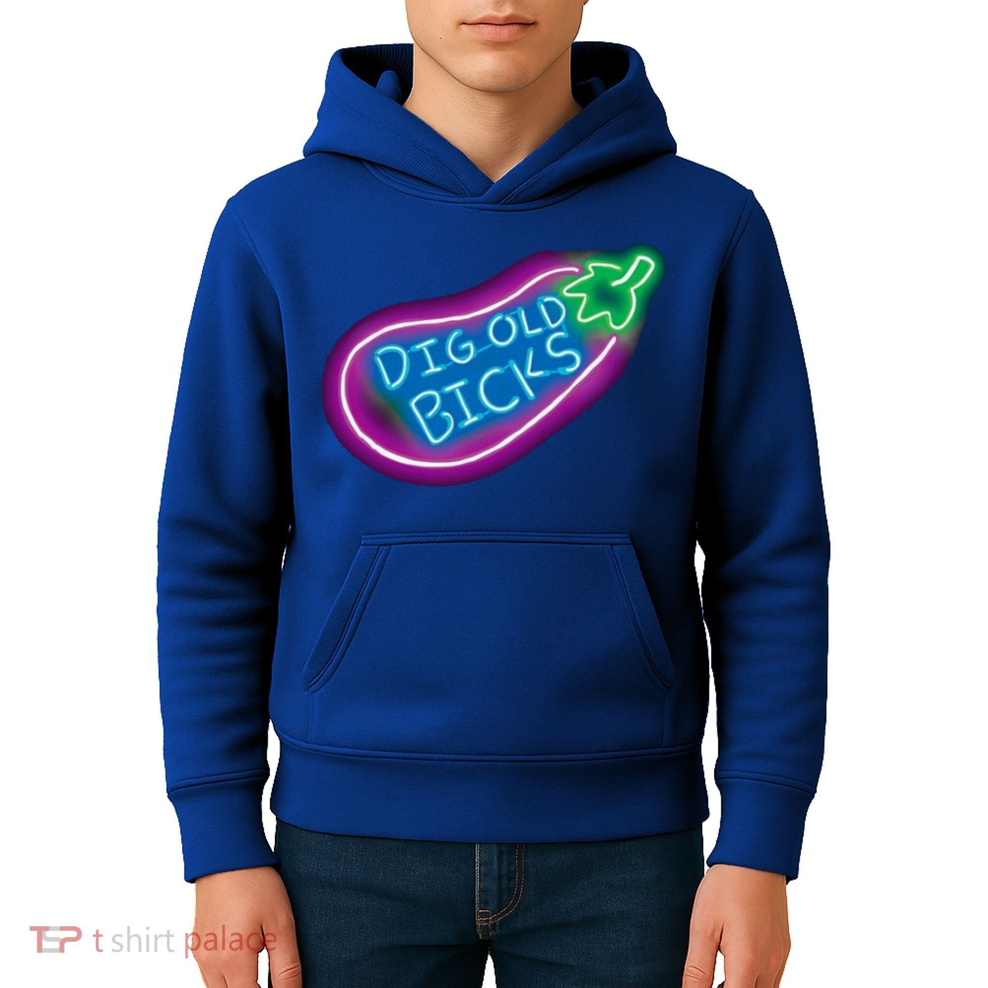 Dig Old Bicks Solar Opposites Funny Meme Gag Cute Gift Kids Hoodie