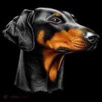 Doberman Dog Long Sleeve Shirt thumb 2