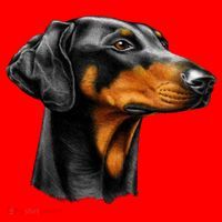 Doberman Dog Santa Hat thumb 1