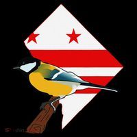 District Of Columbia Us Flag State Bird Bucket Hat thumb 4