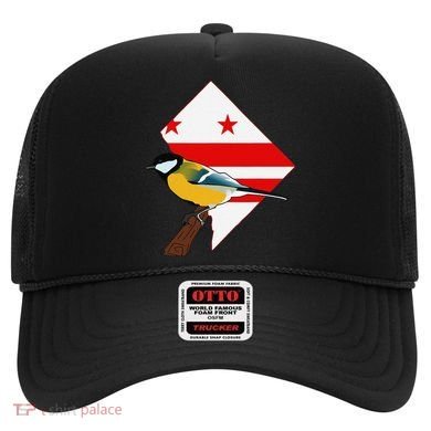 District Of Columbia Us Flag State Bird Hat