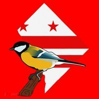 District Of Columbia Us Flag State Bird Santa Hat thumb 1