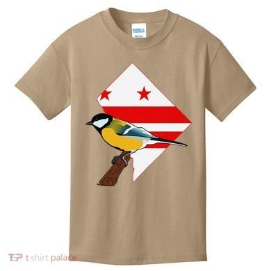 District Of Columbia Us Flag State Bird Kids T-Shirt