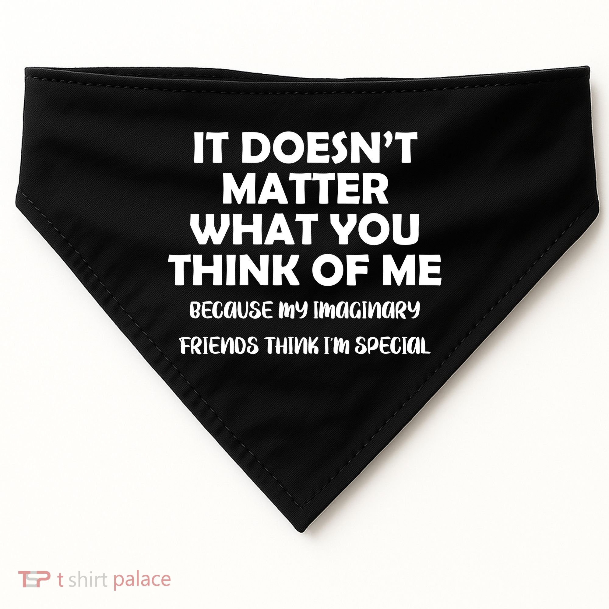 Doesn't Matter Imaginary Friends Think I'm Special USA-Made Doggie Bandana
