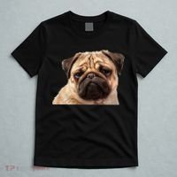 Dog - Close-Up of Pug Face T-Shirt thumb 5
