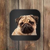 Dog - Close-Up of Pug Face Coaster thumb 0