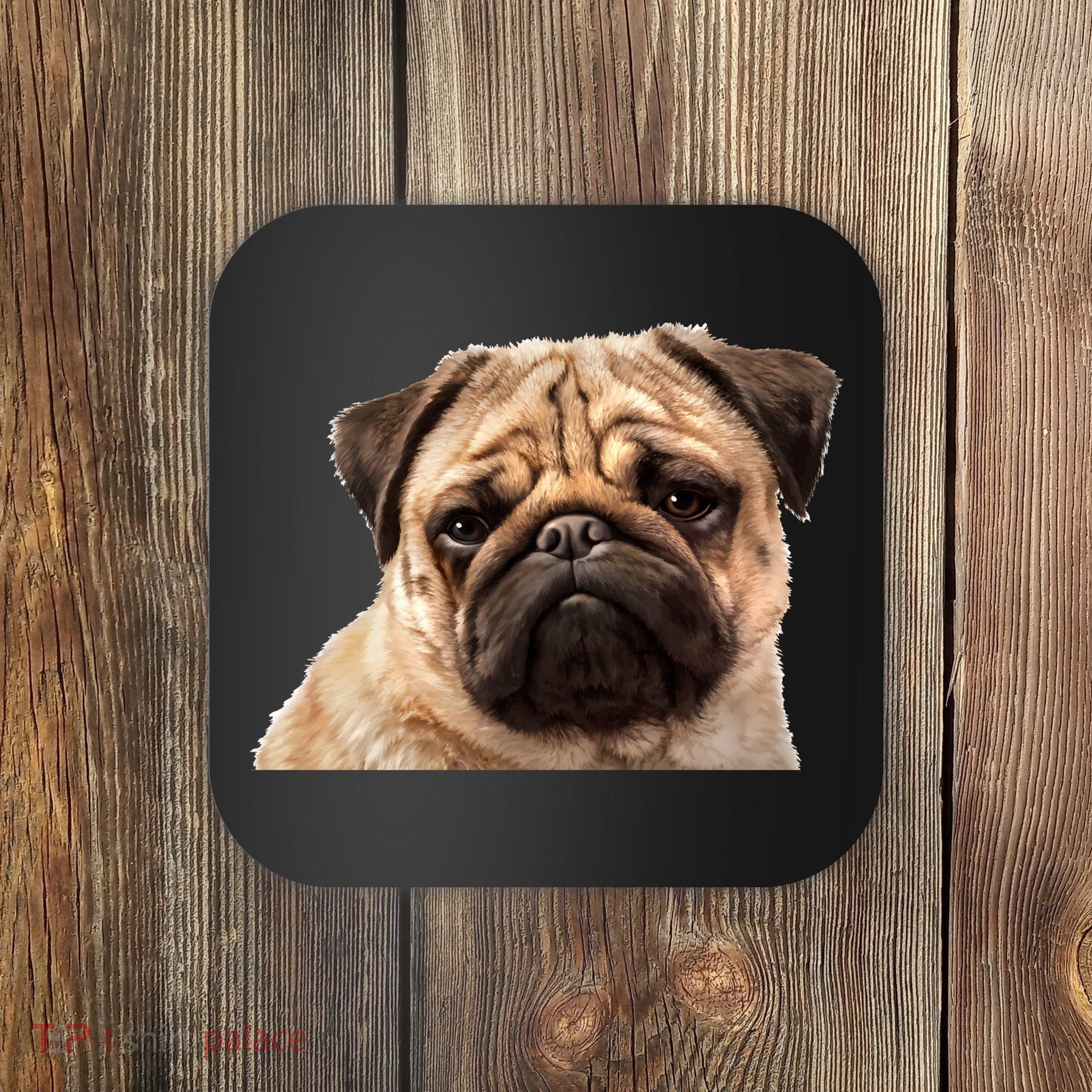 Dog - Close-Up of Pug Face Coaster