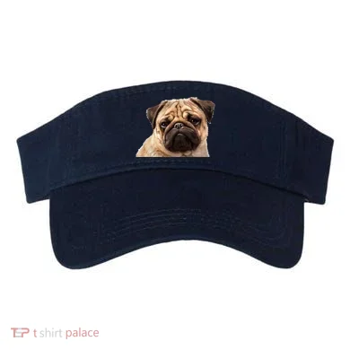 Visor