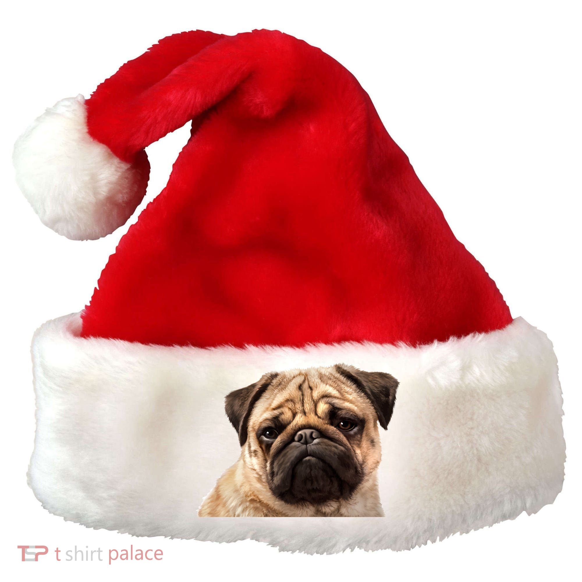 Dog - Close-Up of Pug Face Santa Hat