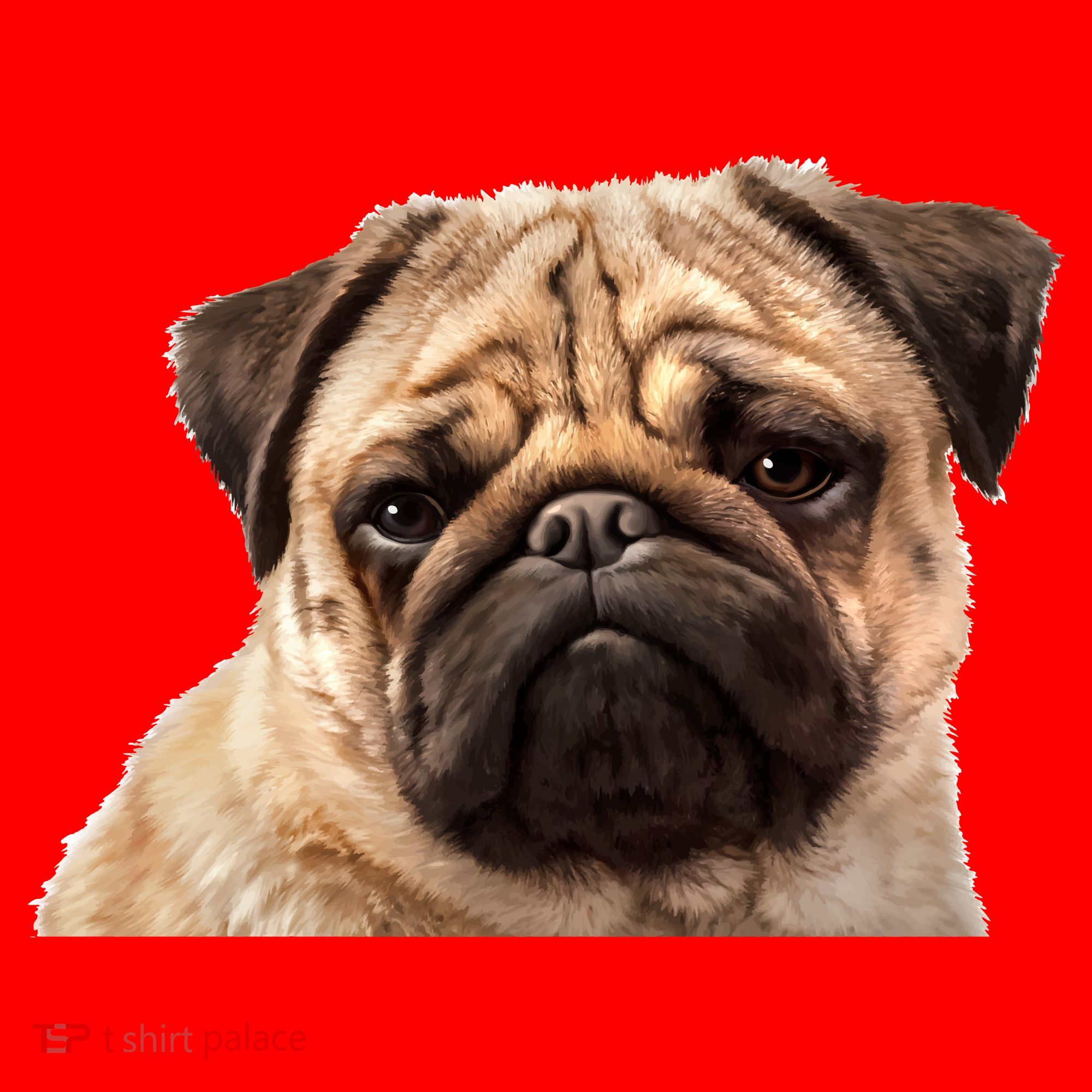 Dog - Close-Up of Pug Face Santa Hat
