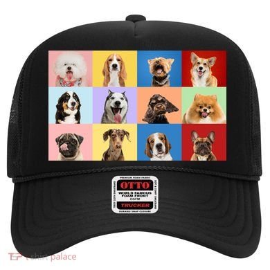 Dog Collage Hat