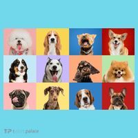 Dog Collage Kids Long Sleeve Shirt thumb 2
