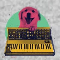 Dog Playing Piano Kids Hoodie thumb 2