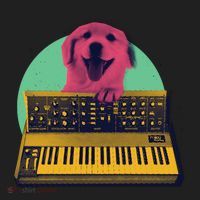 Dog Playing Piano Women's Sweatshirt thumb 2