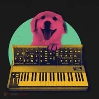 Dog Playing Piano Bucket Hat thumb 4