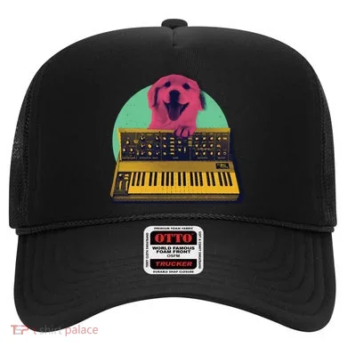 Dog Playing Piano Hat