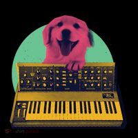 Dog Playing Piano Women's T-Shirt thumb 6