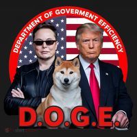 Department Of Government Efficiency D.O.G.E Doge Backpack thumb 2