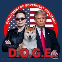 Department Of Government Efficiency D.O.G.E Doge Mousepad thumb 1