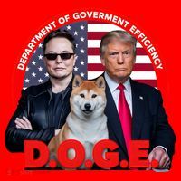 Department Of Government Efficiency D.O.G.E Doge Santa Hat thumb 1