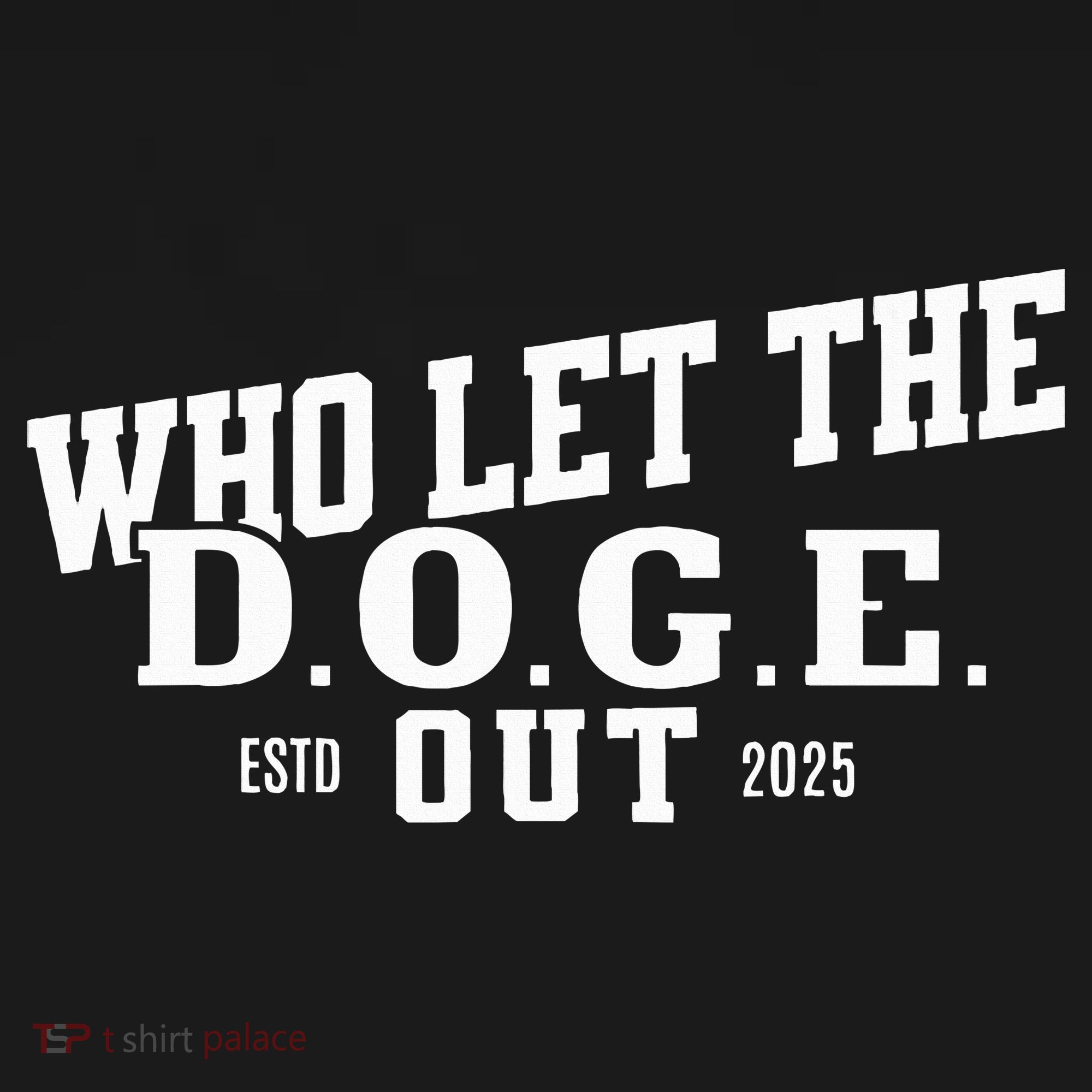Dept Of Government Efficiency Who Let The D.O.G.E. Out Women's Hoodie