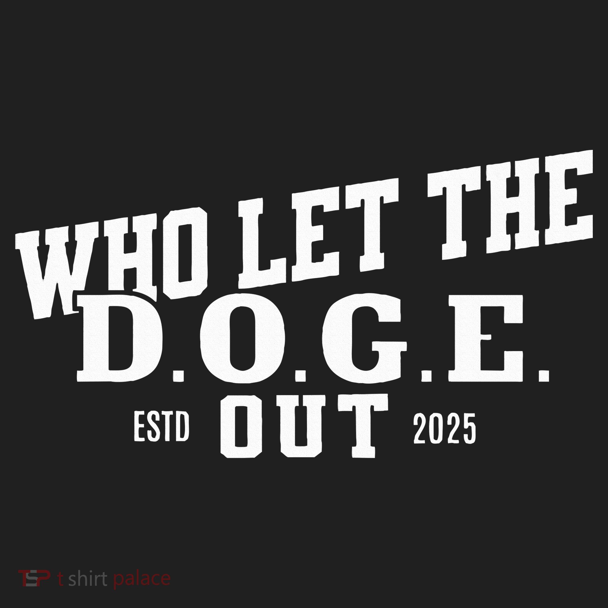 Dept Of Government Efficiency Who Let The D.O.G.E. Out Hat