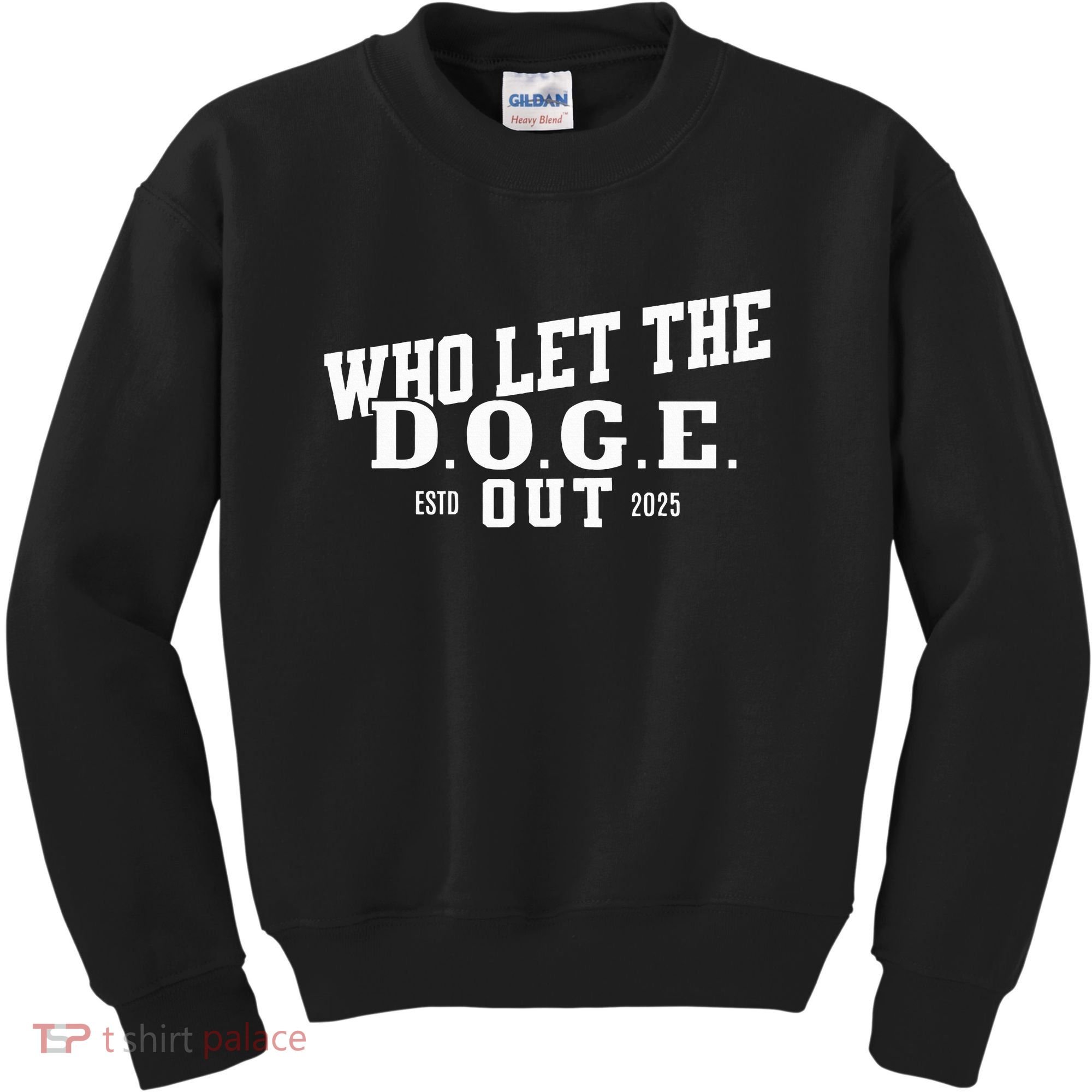 Dept Of Government Efficiency Who Let The D.O.G.E. Out Kids Sweatshirt