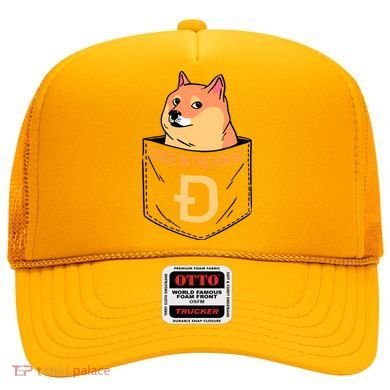 Doge In The House Pocket Hat