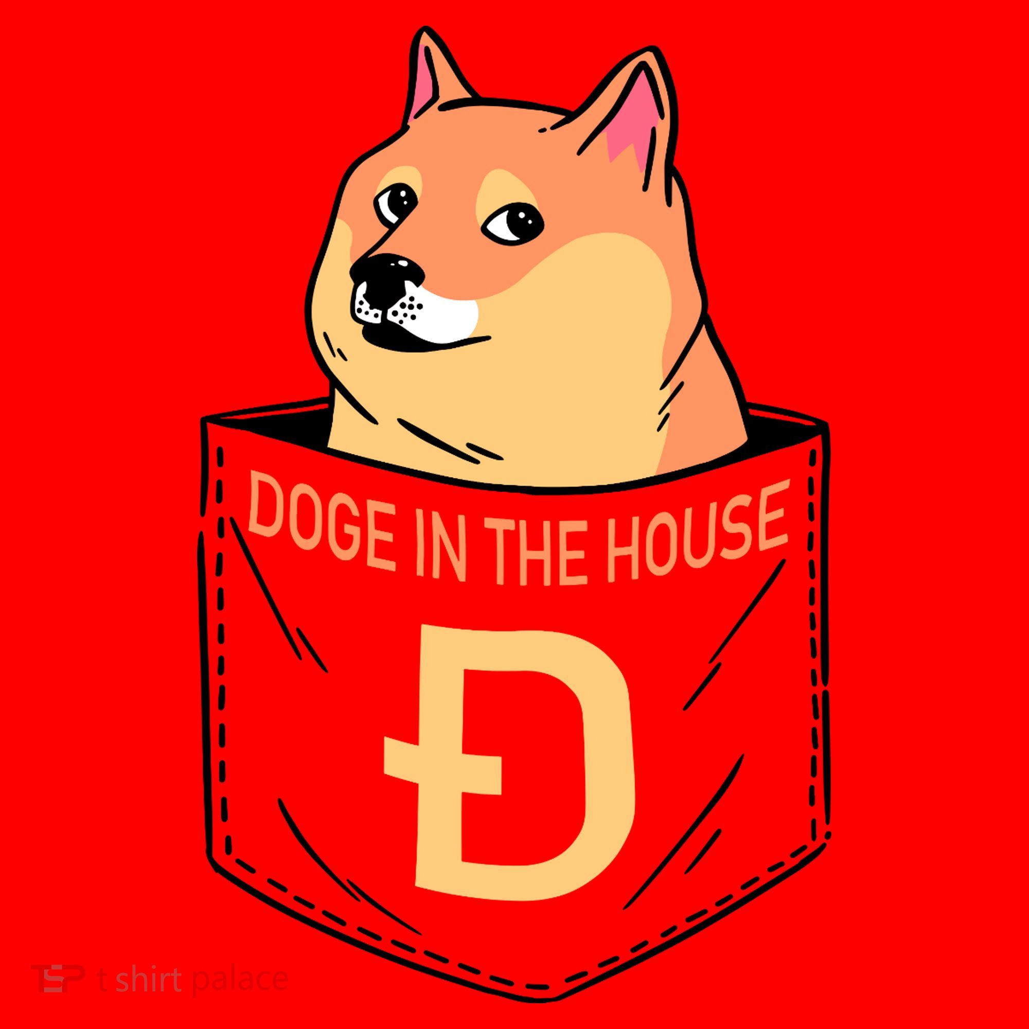 Doge In The House Pocket Santa Hat