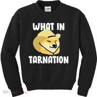 Doge What In Tarnation Kids Sweatshirt thumb 0