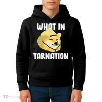 Doge What In Tarnation Kids Hoodie thumb 4