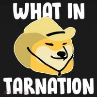 Doge What In Tarnation Kids Long Sleeve Shirt thumb 2