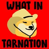Doge What In Tarnation Santa Hat thumb 1