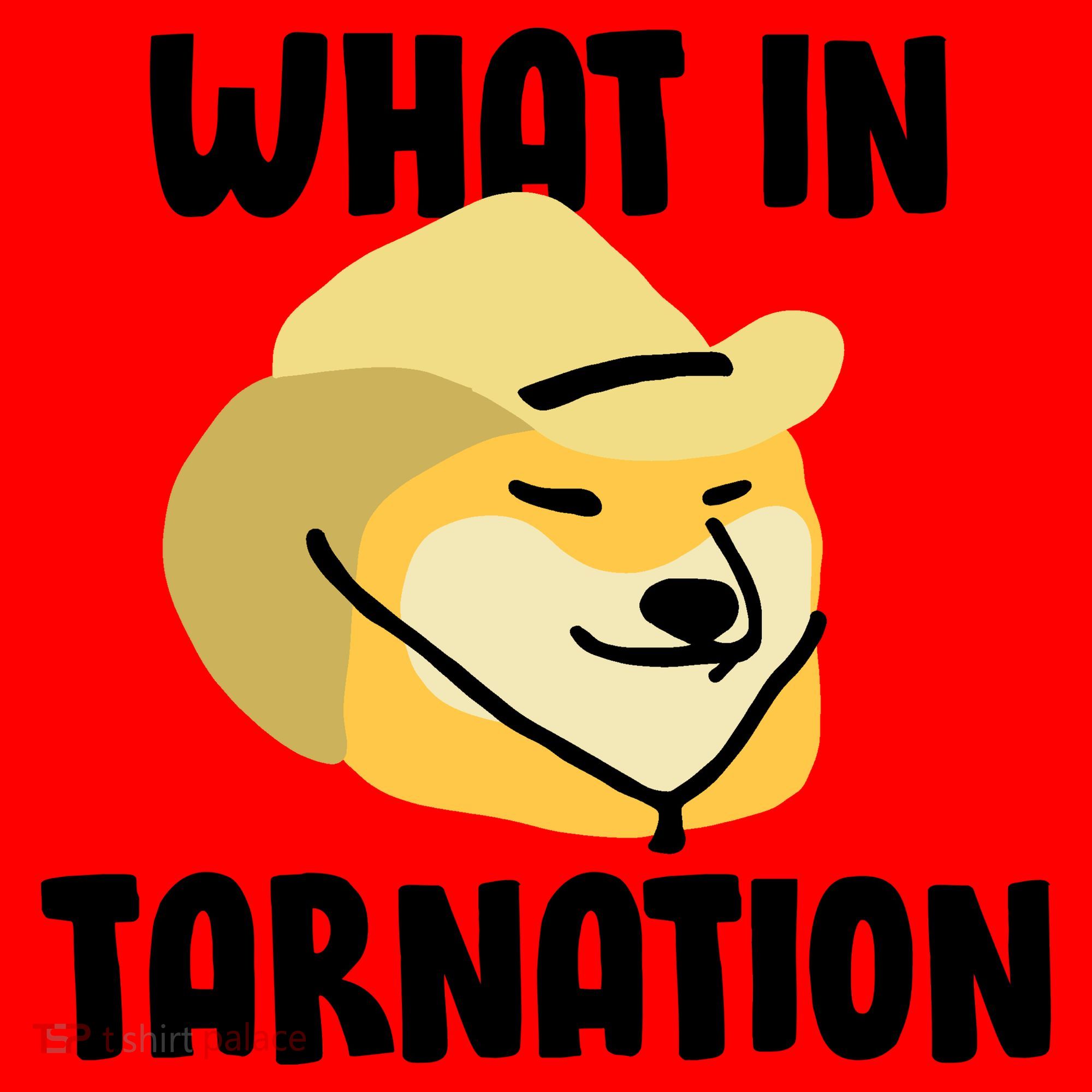 Doge What In Tarnation Santa Hat