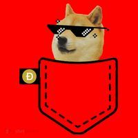 Dogecoin Pocket Doge Coin Santa Hat thumb 1